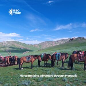 The Great Mongolian Horse Trek – 10 Days