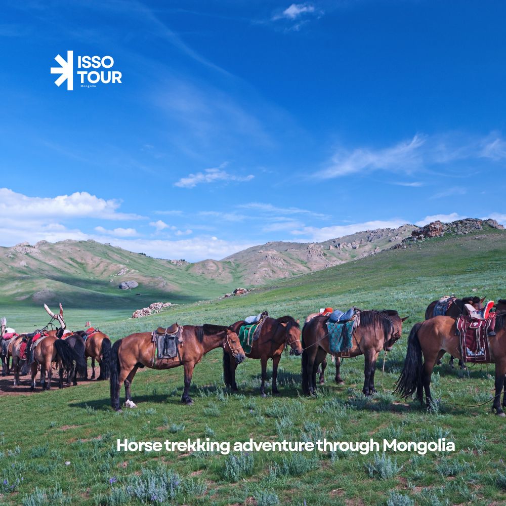 The Great Mongolian Horse Trek – 10 Days